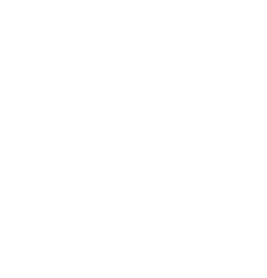ToolsFlex Logo